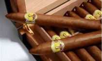 发掘中豪大酒店雪茄之美：尽在网上香烟资讯查询！